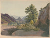 Western scene with buttes and possibly a pueblo community in the distance, as seen from a ravine with a cottonwood tree (1850-1870)