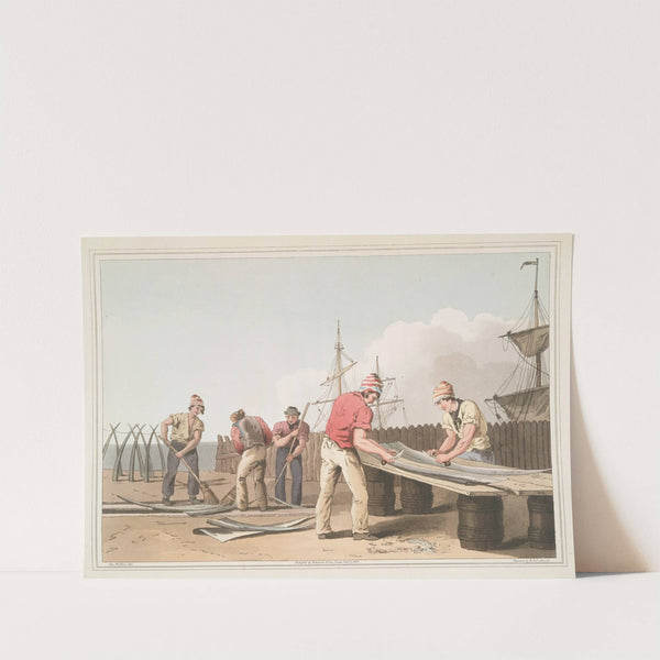 Whalebone scrapers, Plate 18 by George Walker