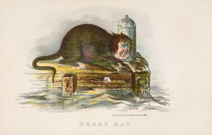 Wharf Rat (1851)