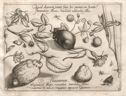 What can emerge in keeping with such a cavernous promise (1592)