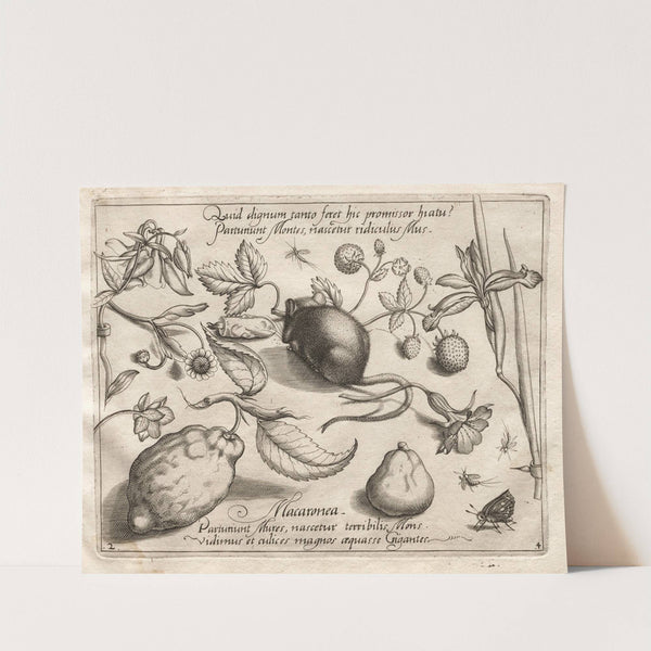 What can emerge in keeping with such a cavernous promise (1592) by Joris Hoefnagel