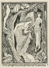 What the Young Man saw in the Wood