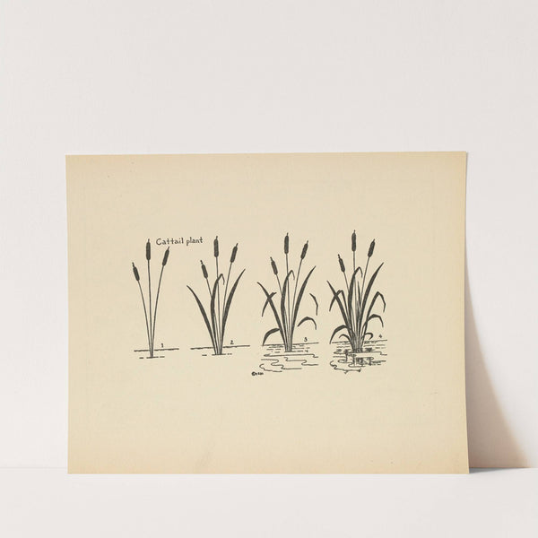 What to draw and how to draw it Pl.14 by Edwin George Lutz