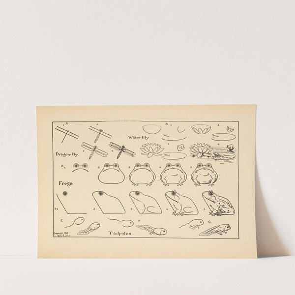 What to draw and how to draw it Pl.15 by Edwin George Lutz