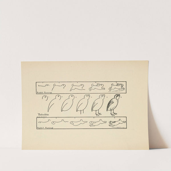 What to draw and how to draw it Pl.16 by Edwin George Lutz