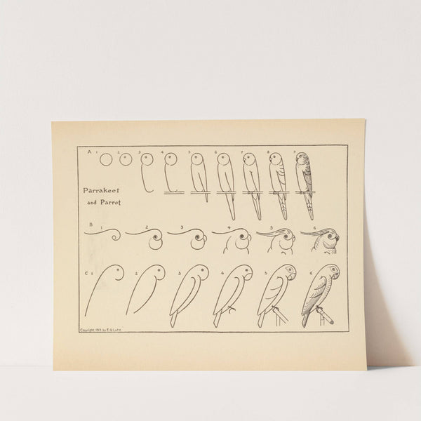 What to draw and how to draw it Pl.35 by Edwin George Lutz