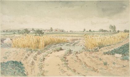 Wheatfields