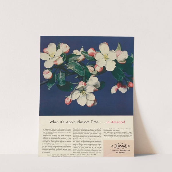 When It’s Apple Blossom Time…in America! (1941) by Dow Chemical Company