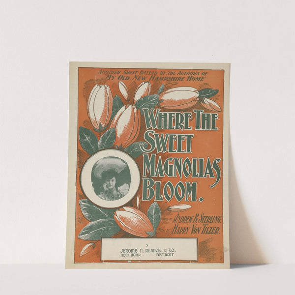 Where the sweet magnolias bloom by Anonymous