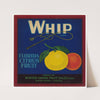Whip Brand Florida Citrus Fruit Label (1930s)