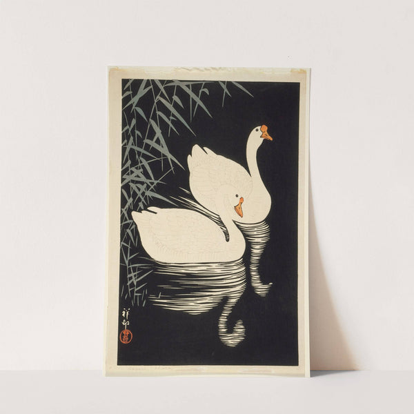 White Chinese Geese Swimming By Reeds by Ohara Koson