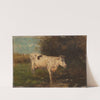 White Cow by Willem Maris