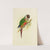 White-Eared Conure (1884-1887) by Alexander Francis Lydon