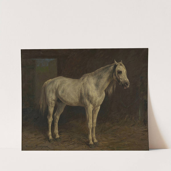 White Horse by Rosa Bonheur