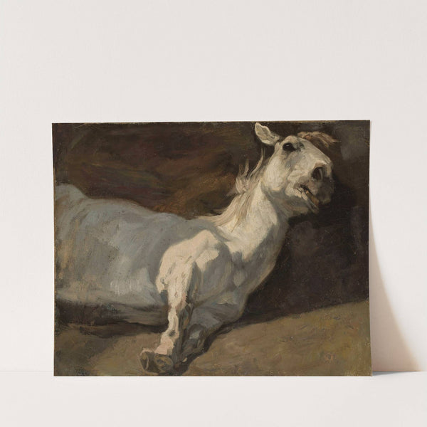 White horse stretched on the ground by Piotr Michałowski