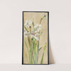 White Narcissus with Gray Accents by Hannah Borger Overbeck