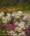 White Phlox (1906)