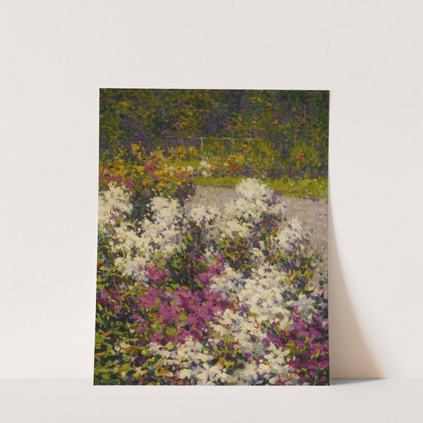 White Phlox (1906) by Hugh Henry Breckenridge