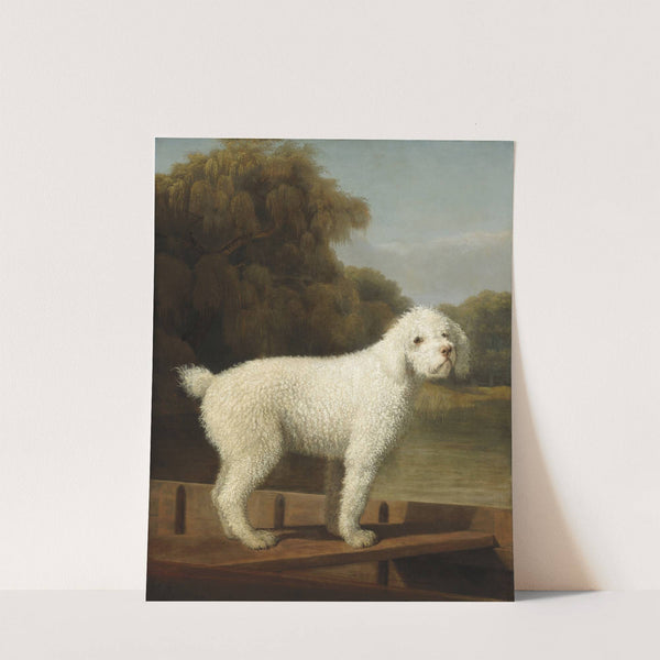 White Poodle in a Punt (c. 1780) by George Stubbs