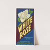 White Rose Brand Citrus Label (1930s)