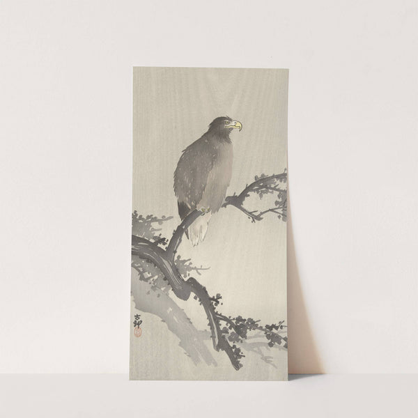 White-tailed eagle on branch by Ohara Koson