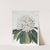 White Tree Rhododendron (1815-1819) by Sydenham Edwards