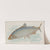 Whitefish (1889) by Allen & Ginter