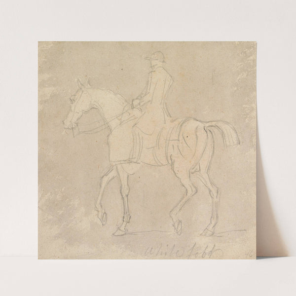 Whitefoot at Exercise; Hooded and Rugged, Jockey up, Walking to Left by James Seymour