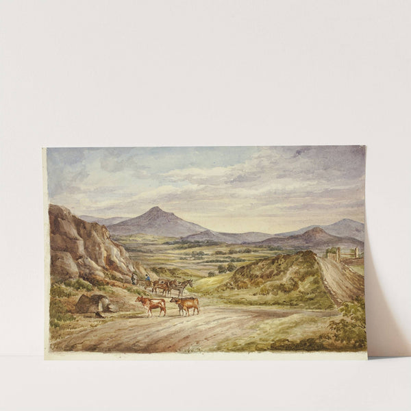 Wicklow Hills by Elizabeth Murray