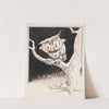 Wide-eyed owl on branch (1904) by John Samuel Pughe