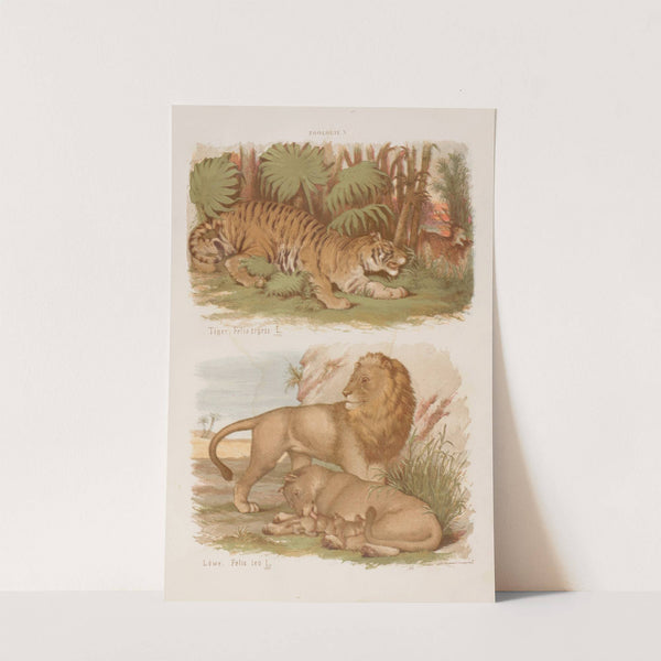 Wielki atlas do zoologii, botaniki i mineralogii Pl.005 (1887) by Gustav von Hayek