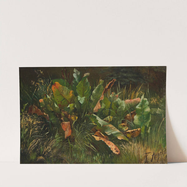 Wiesenstück mit Sauerampfer (1860) by Friedrich Adolph Arnold