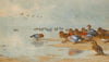 Wigeon And Teal By The Water’s Edge (1906)