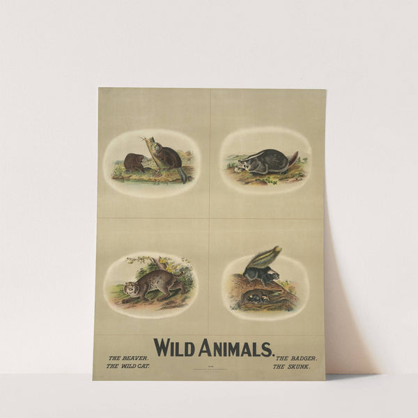 Wild animals (1903) by Nature & Method Publ. Co.