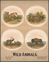 Wild animals no. 27 (1903)