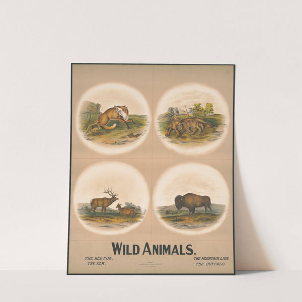 Wild animals no. 27 (1903) by Nature & Method Publ. Co.