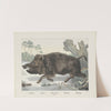Wild boar (1829-1880) by Joseph Scholz