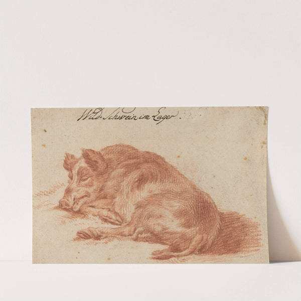 Wild Boar (18th century) by German School
