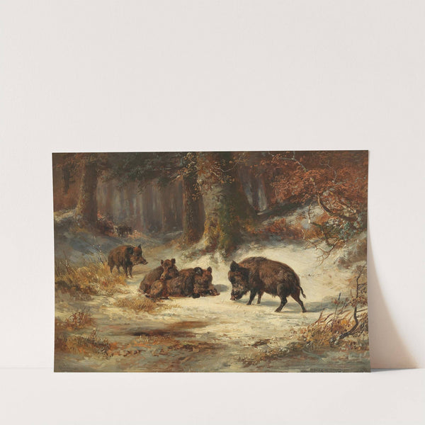 Wild Boars in a Wintry Forest by Anton Weinberger