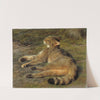 Wild Cat by Rosa Bonheur