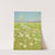 Wild Daisy by Lafayette F. Cargill