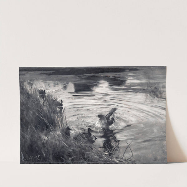 Wild Ducks among Reeds (1890) by Bruno Liljefors