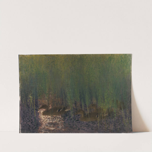 Wild Ducks in Horse-Tail (1901) by Bruno Liljefors