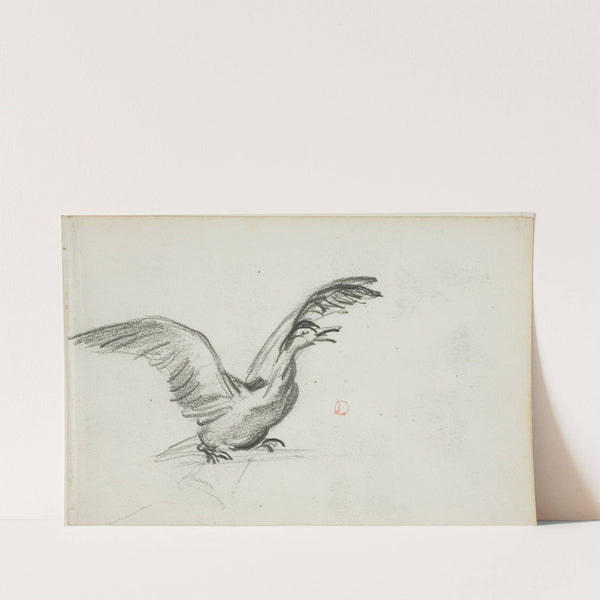 Wild Duet (1837-78) by Charles François Daubigny