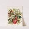 Wild Flowers and Berries. Plate 0 by Sarah Featon