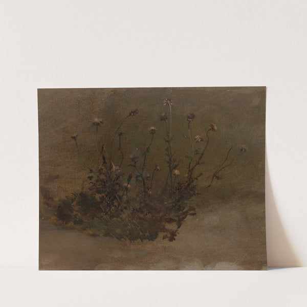 Wild Flowers (Thistles) by Elihu Vedder