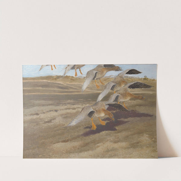 Wild Geese (1905) by Bruno Liljefors