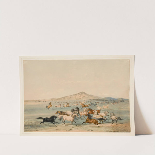 Wild Horses at Play by George Catlin