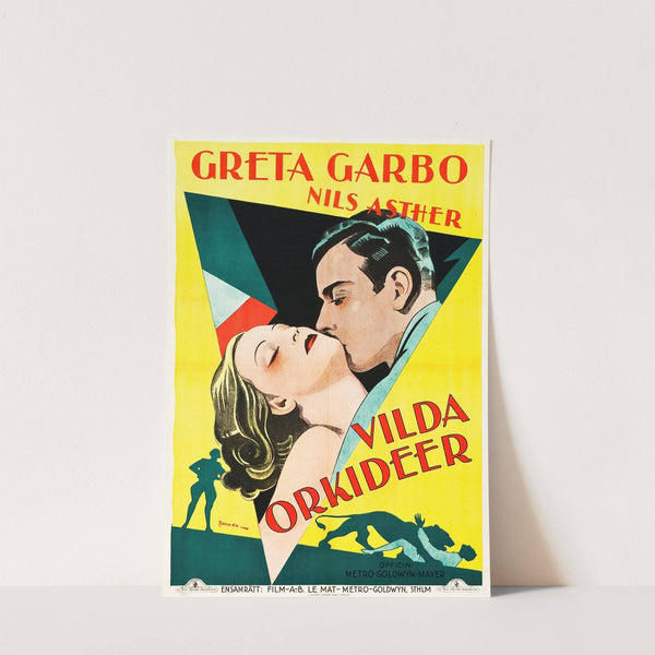 Wild Orchids by Eric Rohman