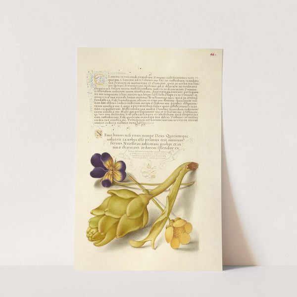 Wild Pansy and Artichoke (1561–1596) by Joris Hoefnagel